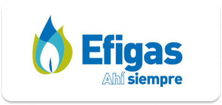 Socio Efigas