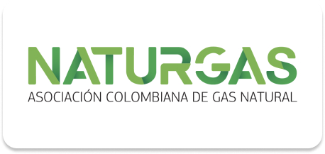 Socio Naturgas